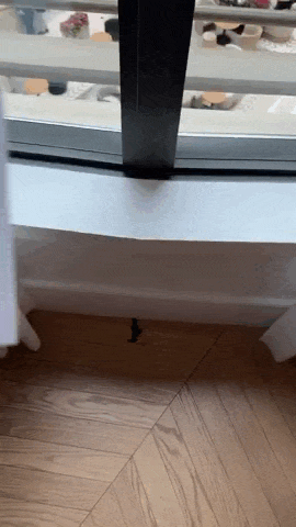 tghotel2606.gif