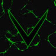 Venomous